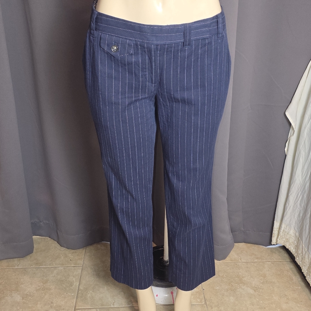Cartonnier Anthropologie Navy Pinstripe Cropped Pants Womens Size 8